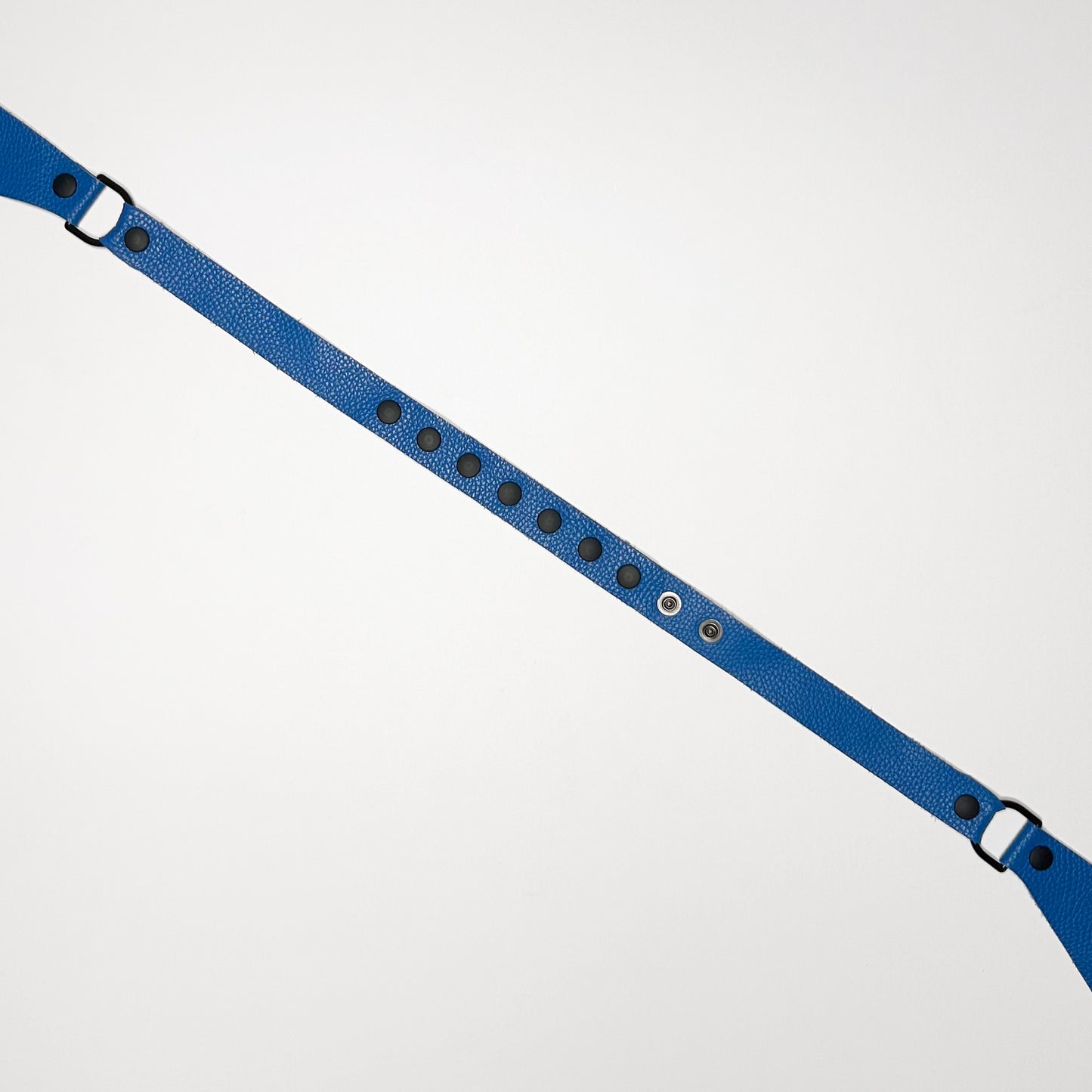 Blue Chastity Harness - Black