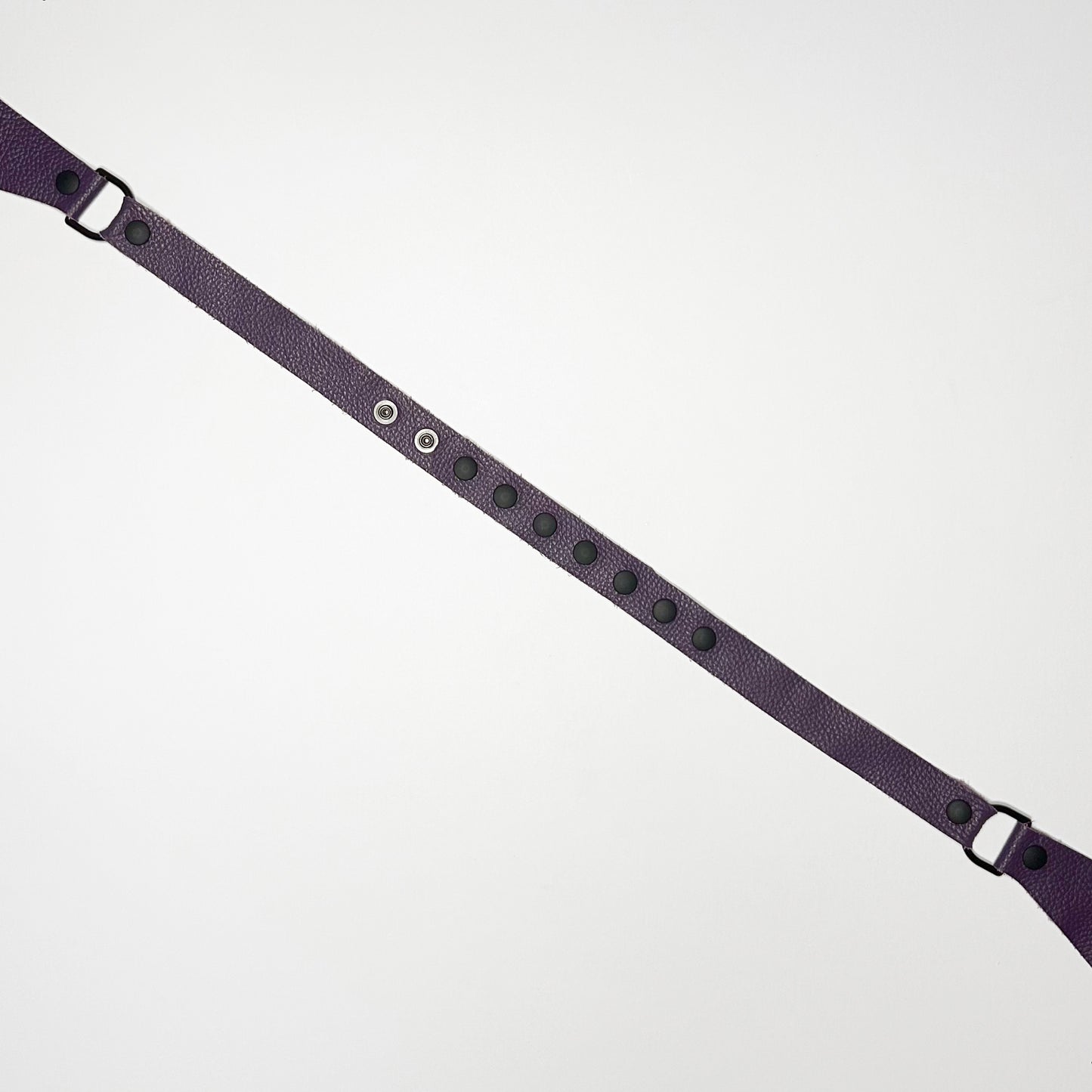 Purple Chastity Harness - Black