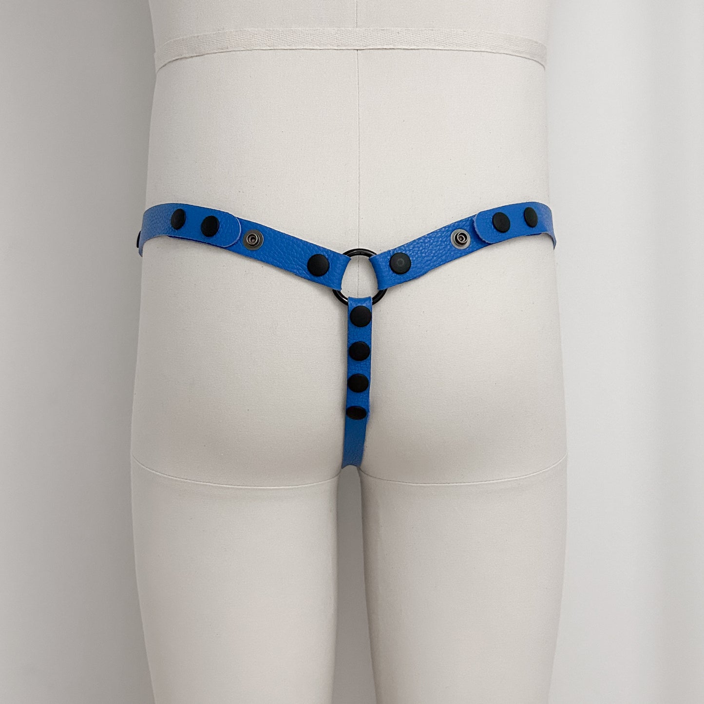 Blue Thong Harness - Black