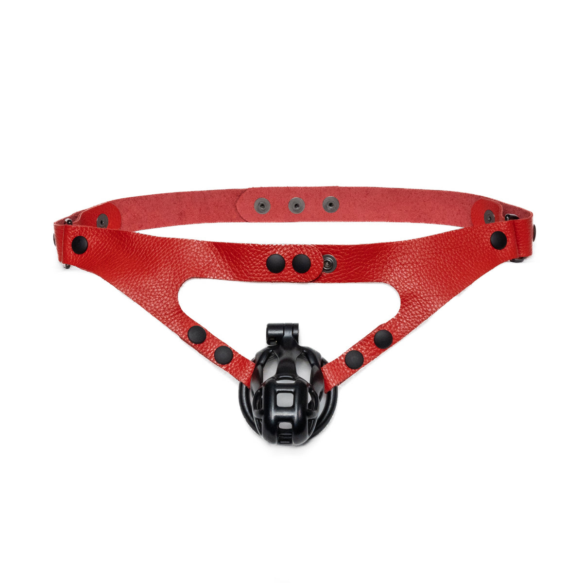 Classic Chastity Harness