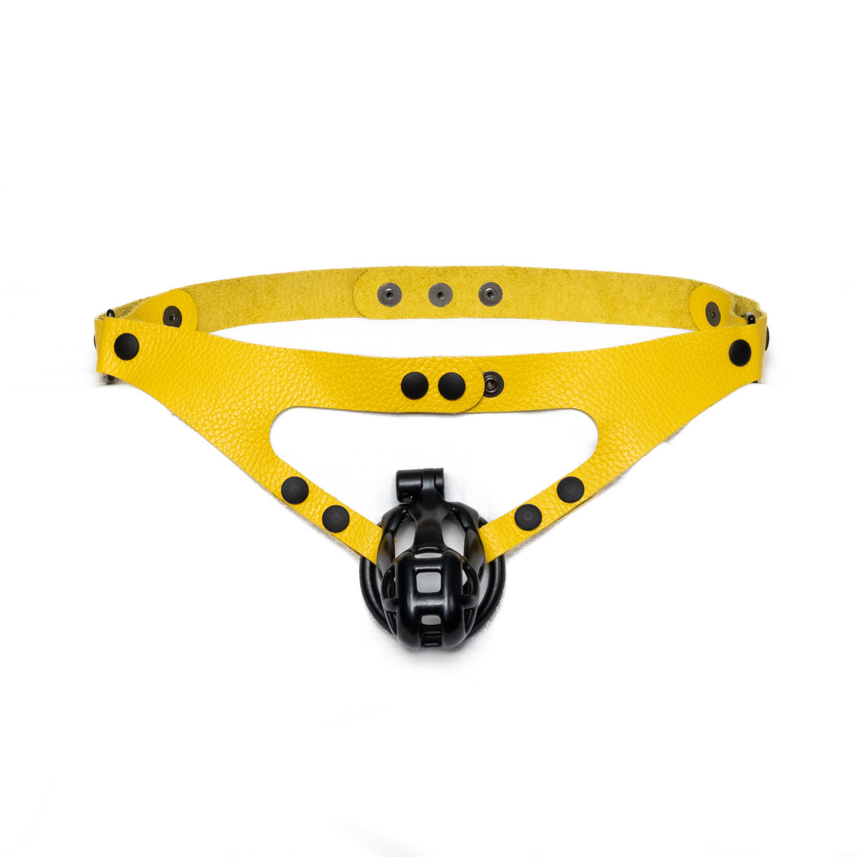 Classic Chastity Harness