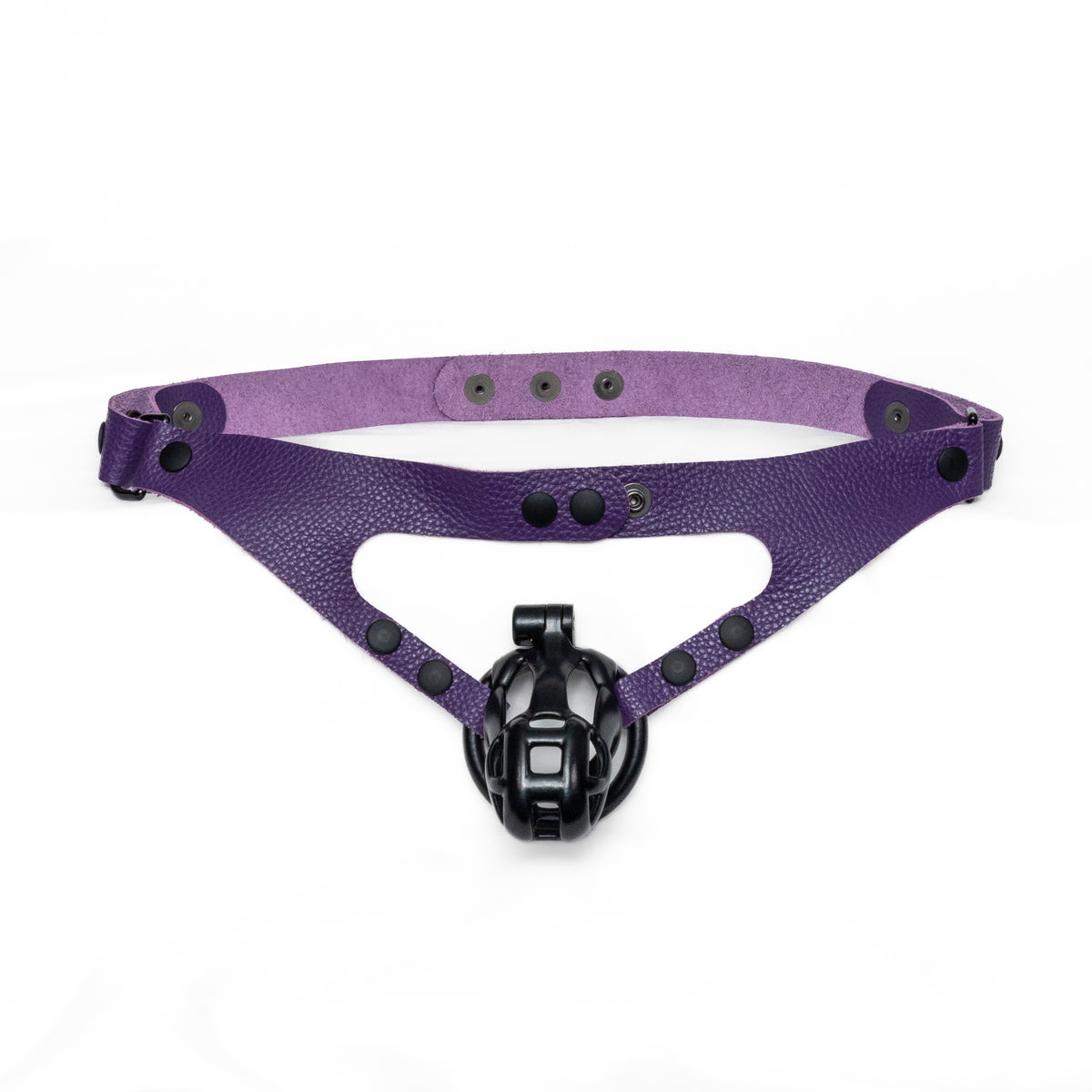 Classic Chastity Harness