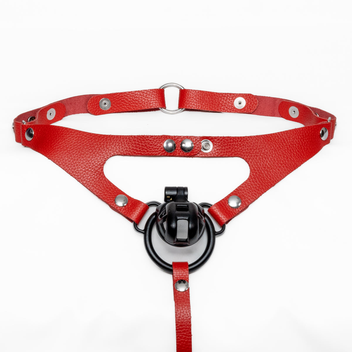 Thong Harness