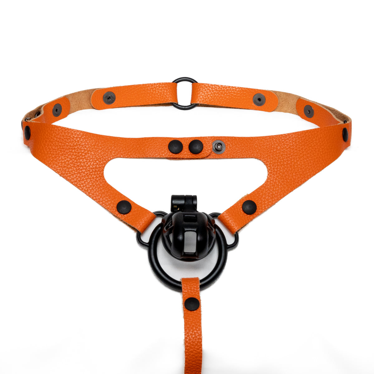 Thong Harness