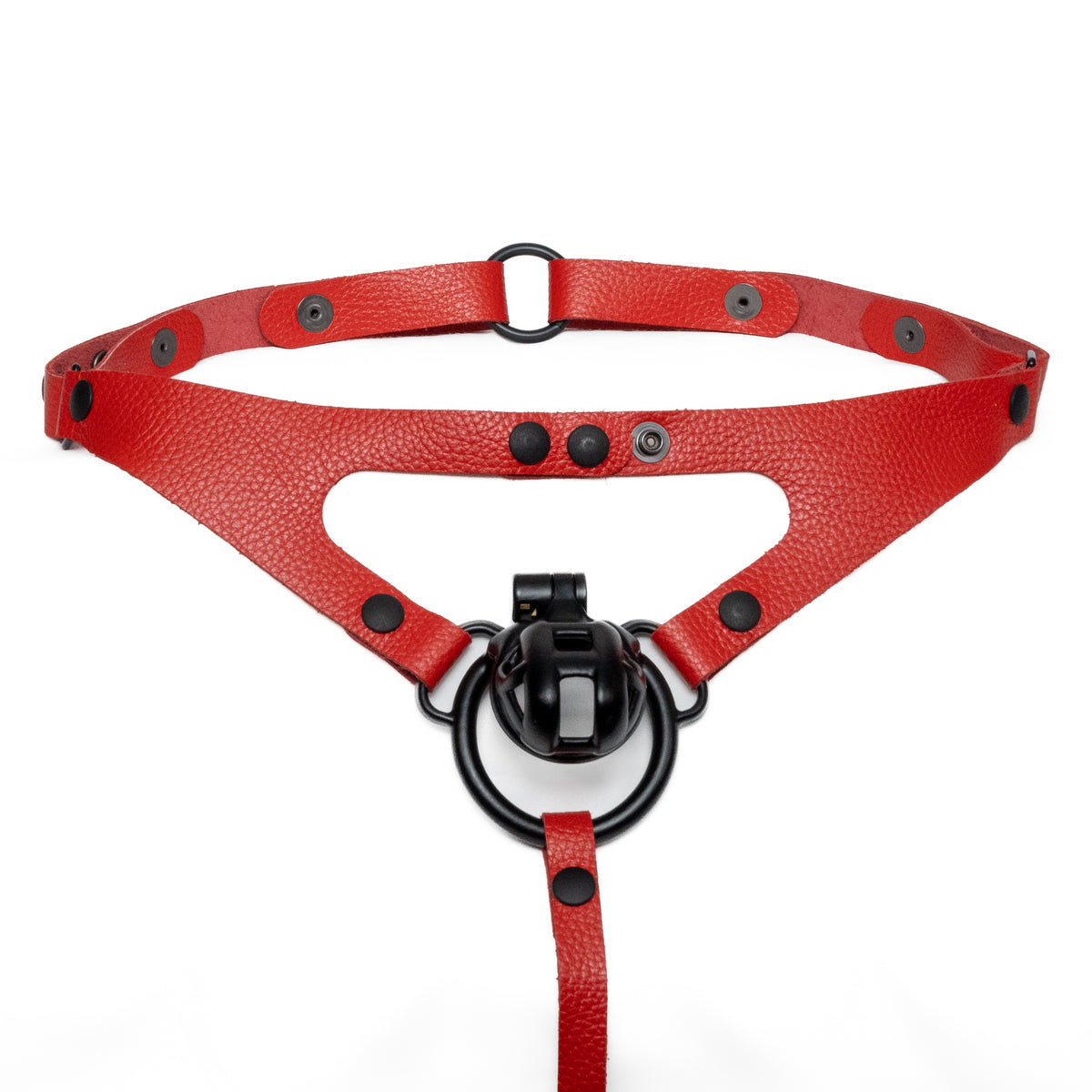 Thong Harness