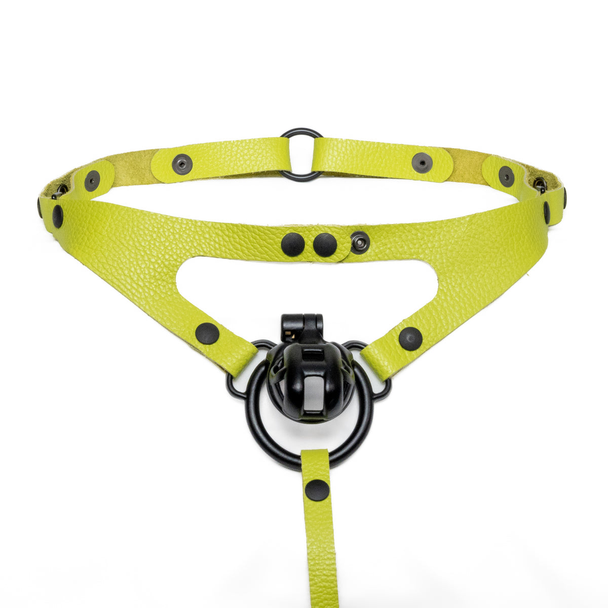 Thong Harness