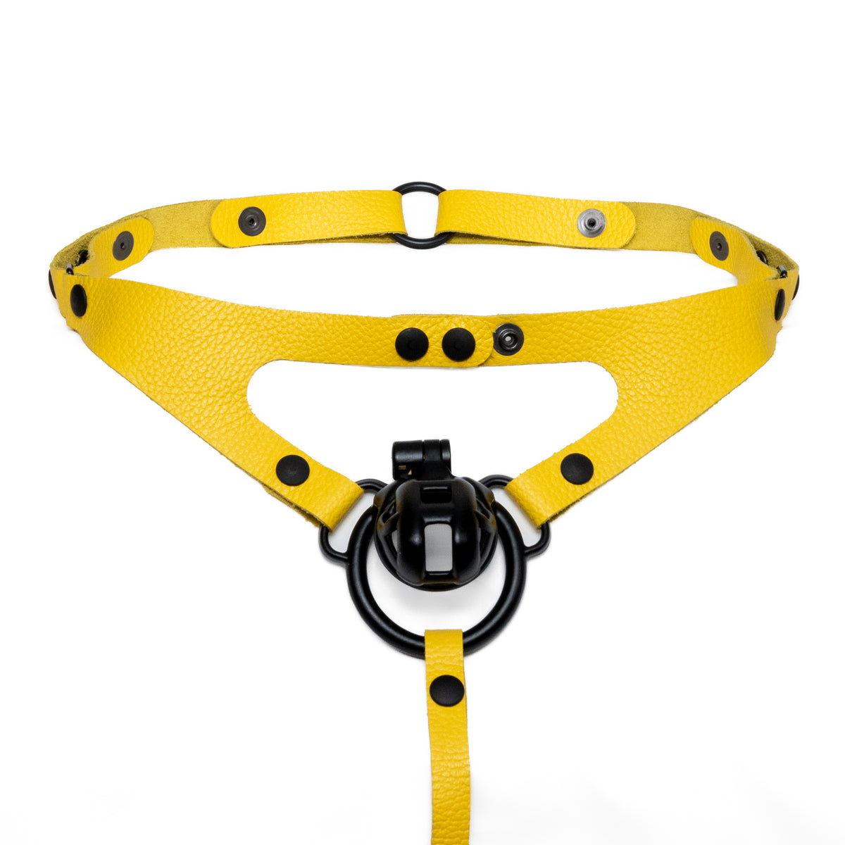 Thong Harness