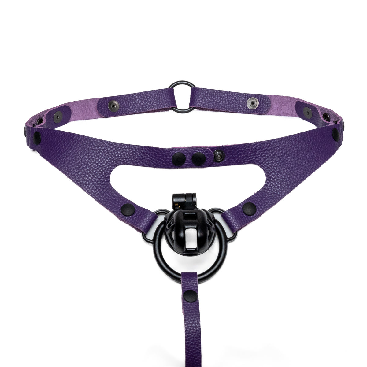 Thong Harness