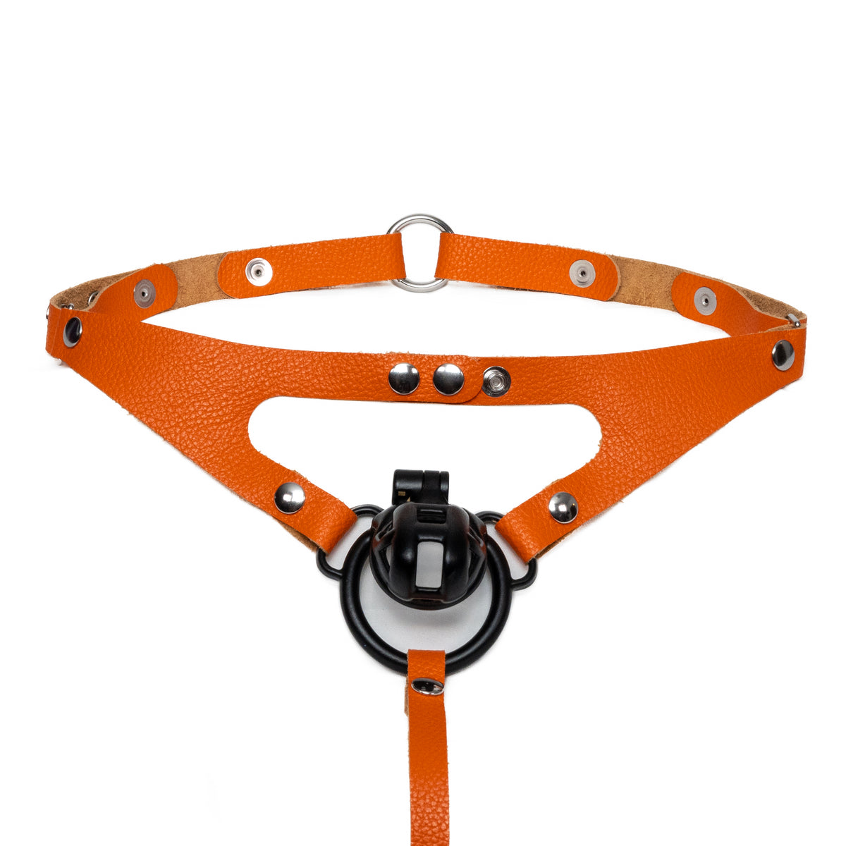 Thong Harness