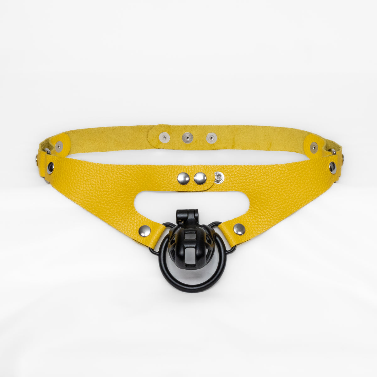 2-Loop Chastity Harness