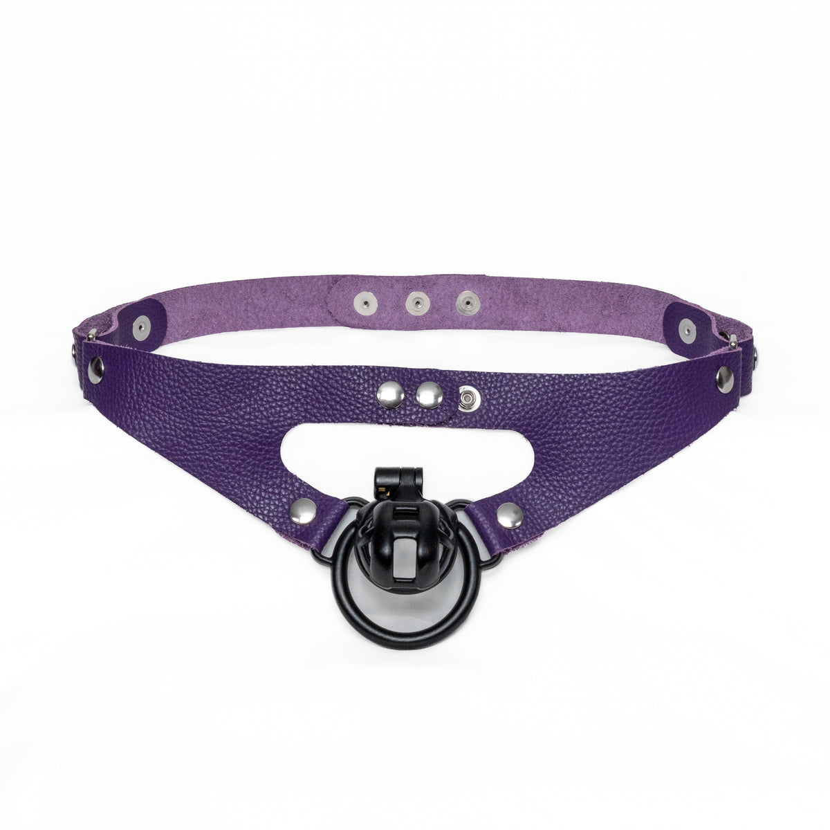 2-Loop Chastity Harness