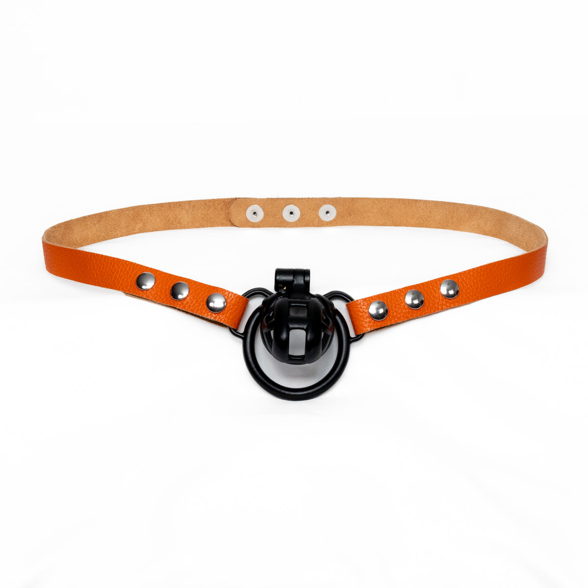 Chastity Strap 3/4"