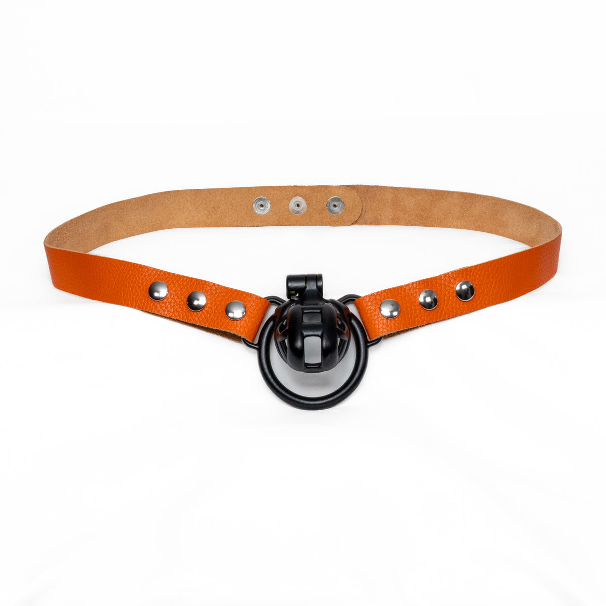 Chastity Strap 1"