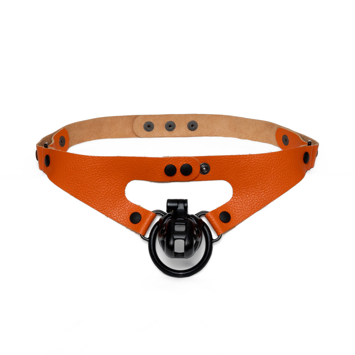 2-Loop Chastity Harness