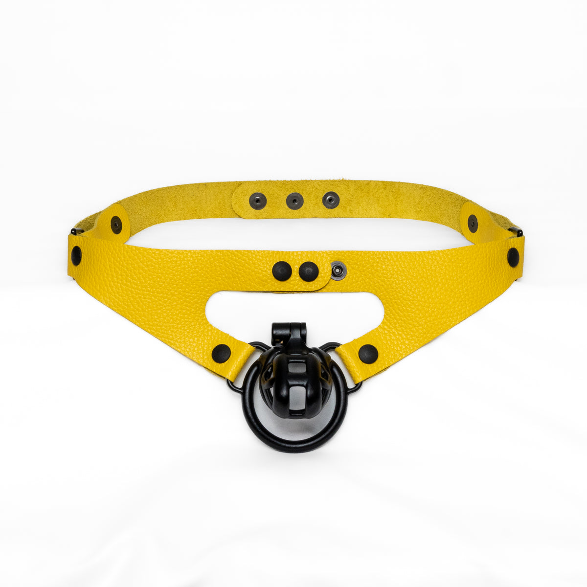 2-Loop Chastity Harness