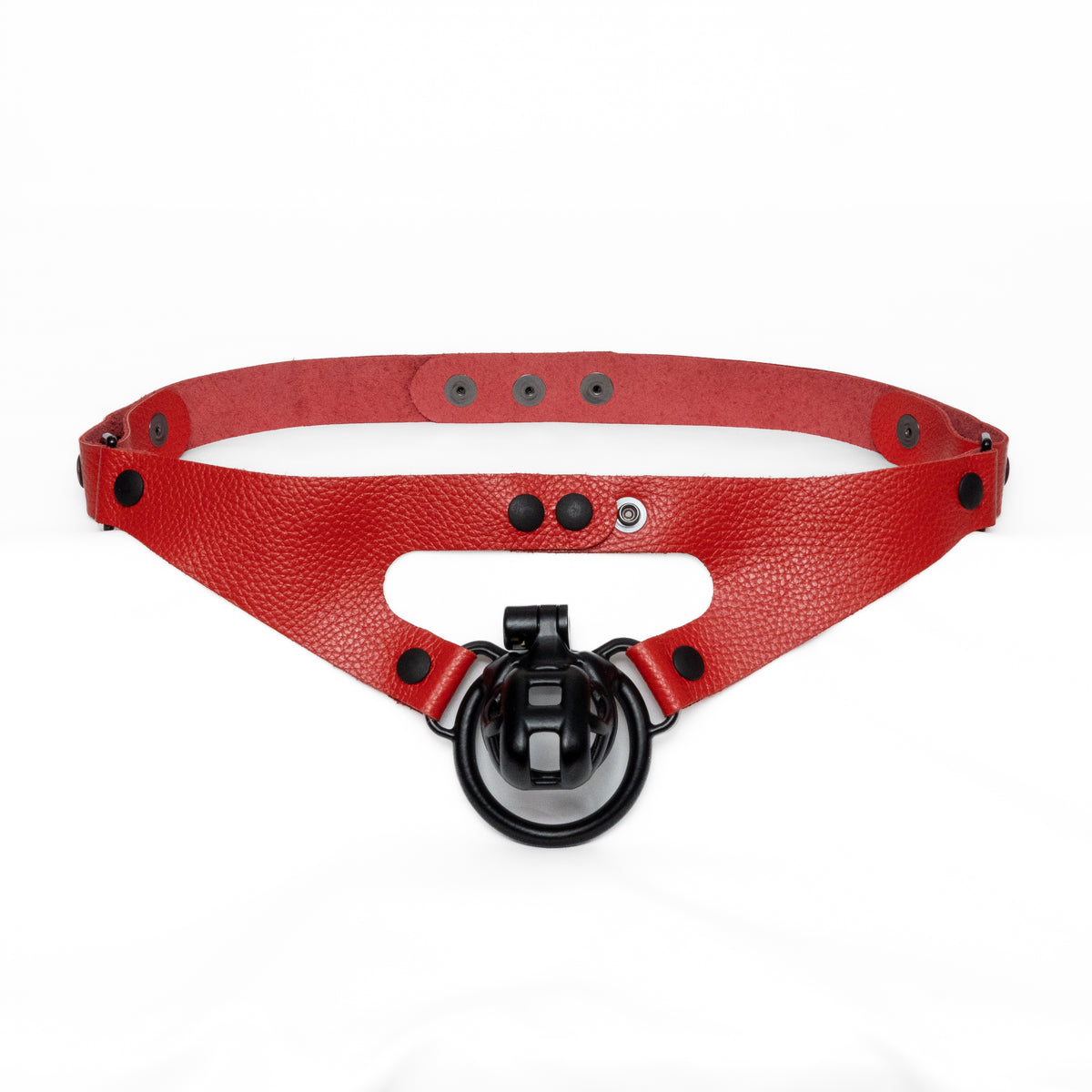 2-Loop Chastity Harness