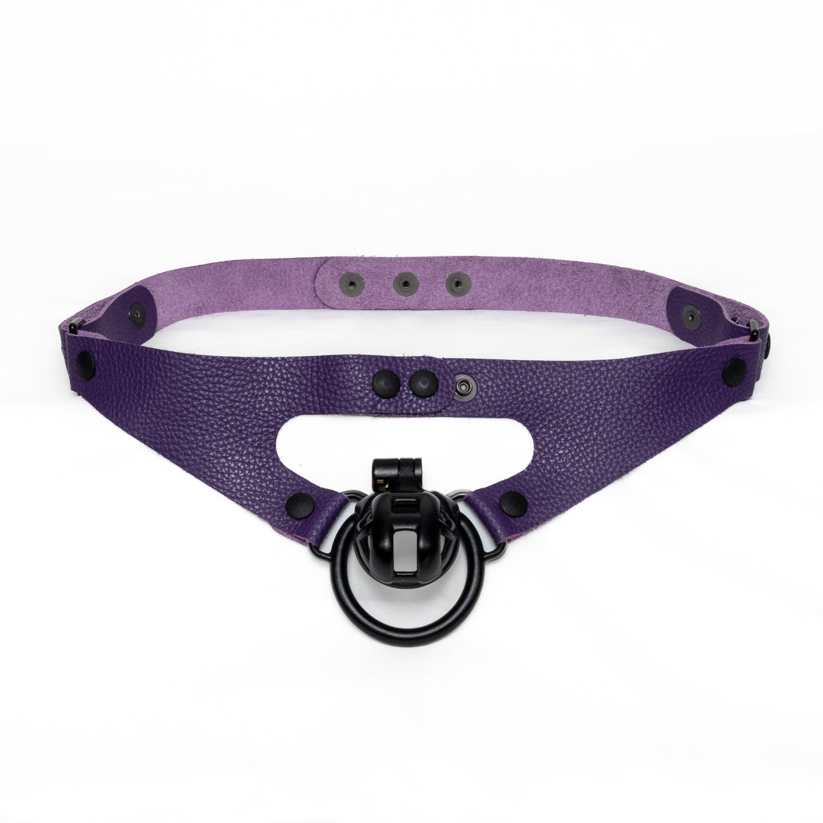 2-Loop Chastity Harness