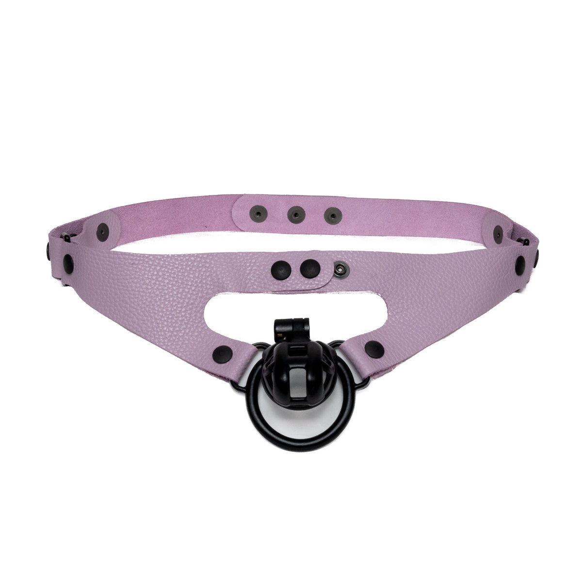 2-Loop Chastity Harness