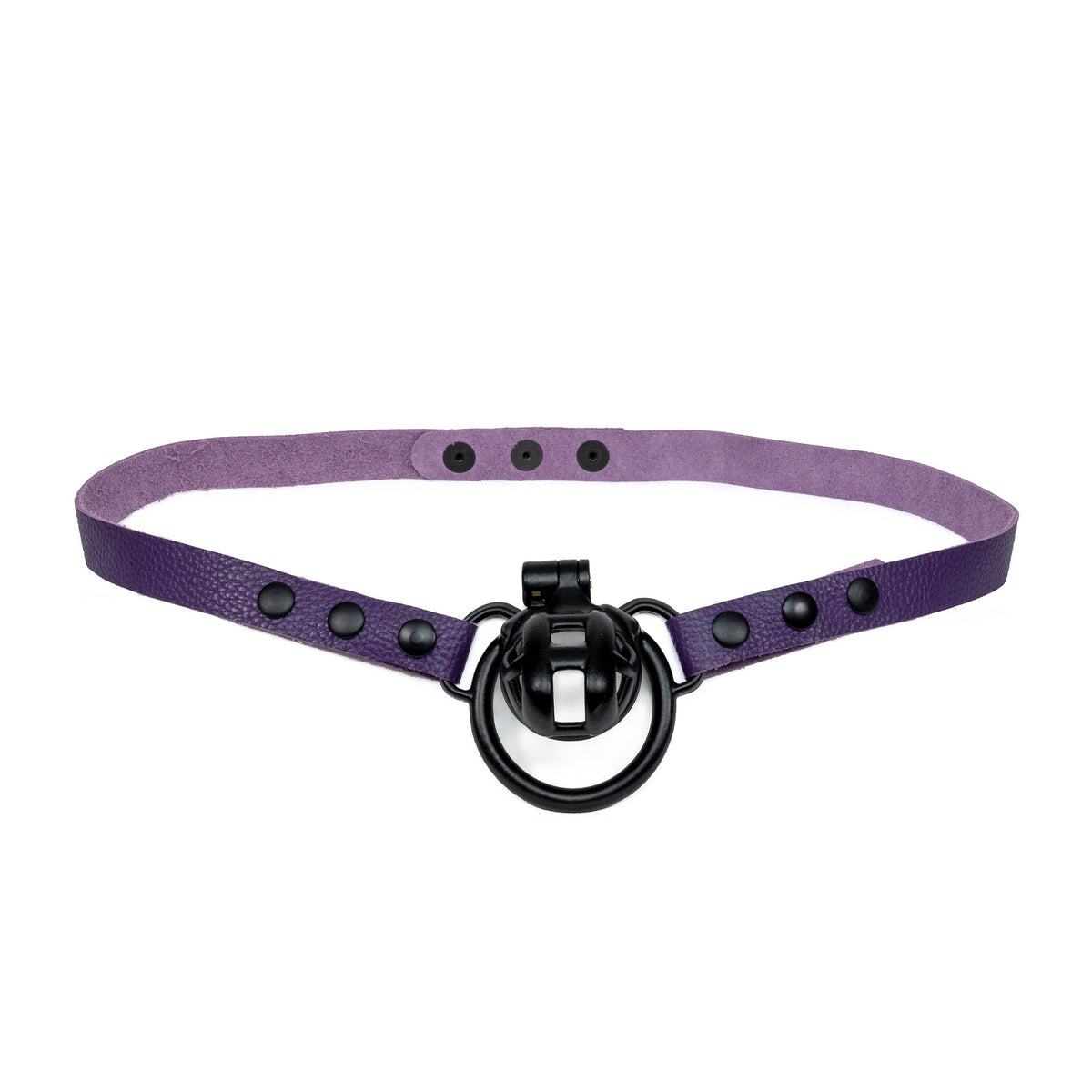 Chastity Strap 3/4"