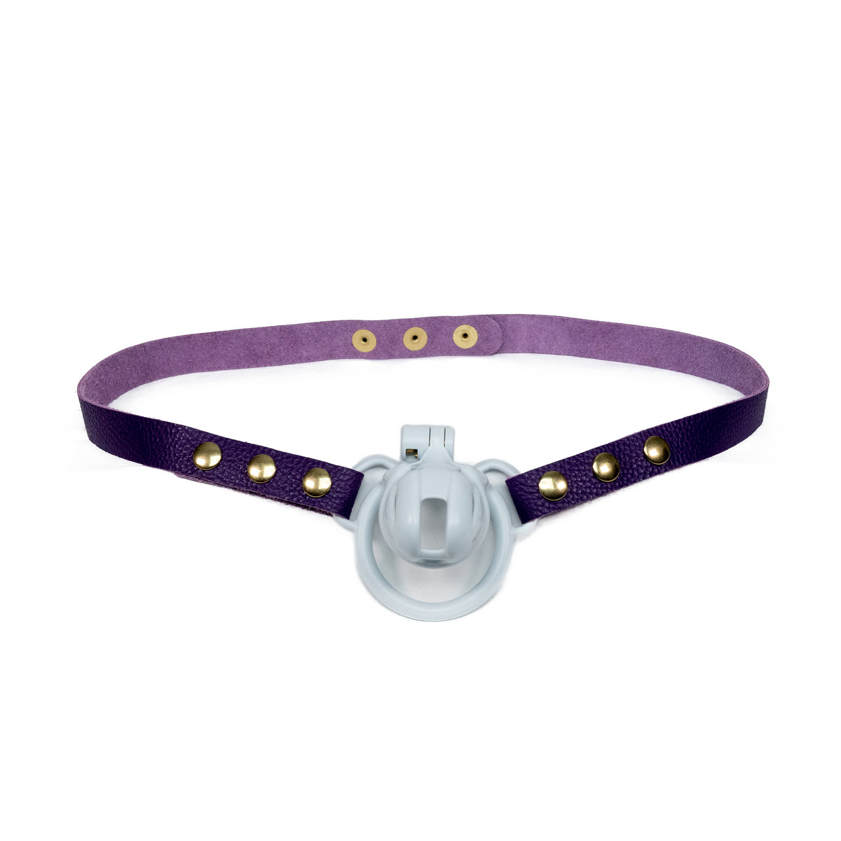 Chastity Strap 3/4"