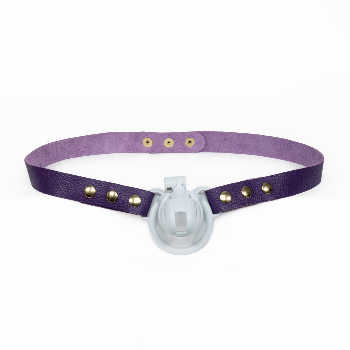 Chastity Strap 1"