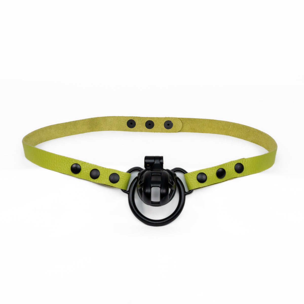 Chastity Strap 3/4"