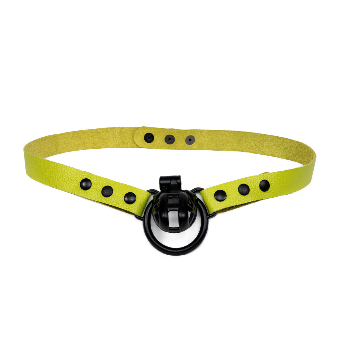 Chastity Strap 1"