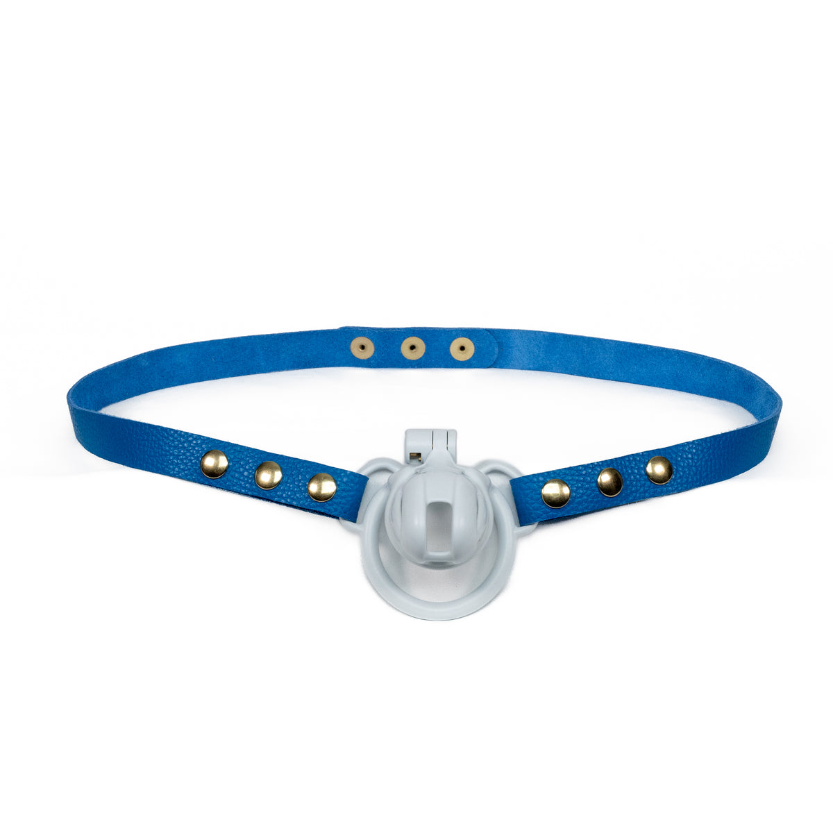 Chastity Strap 3/4"