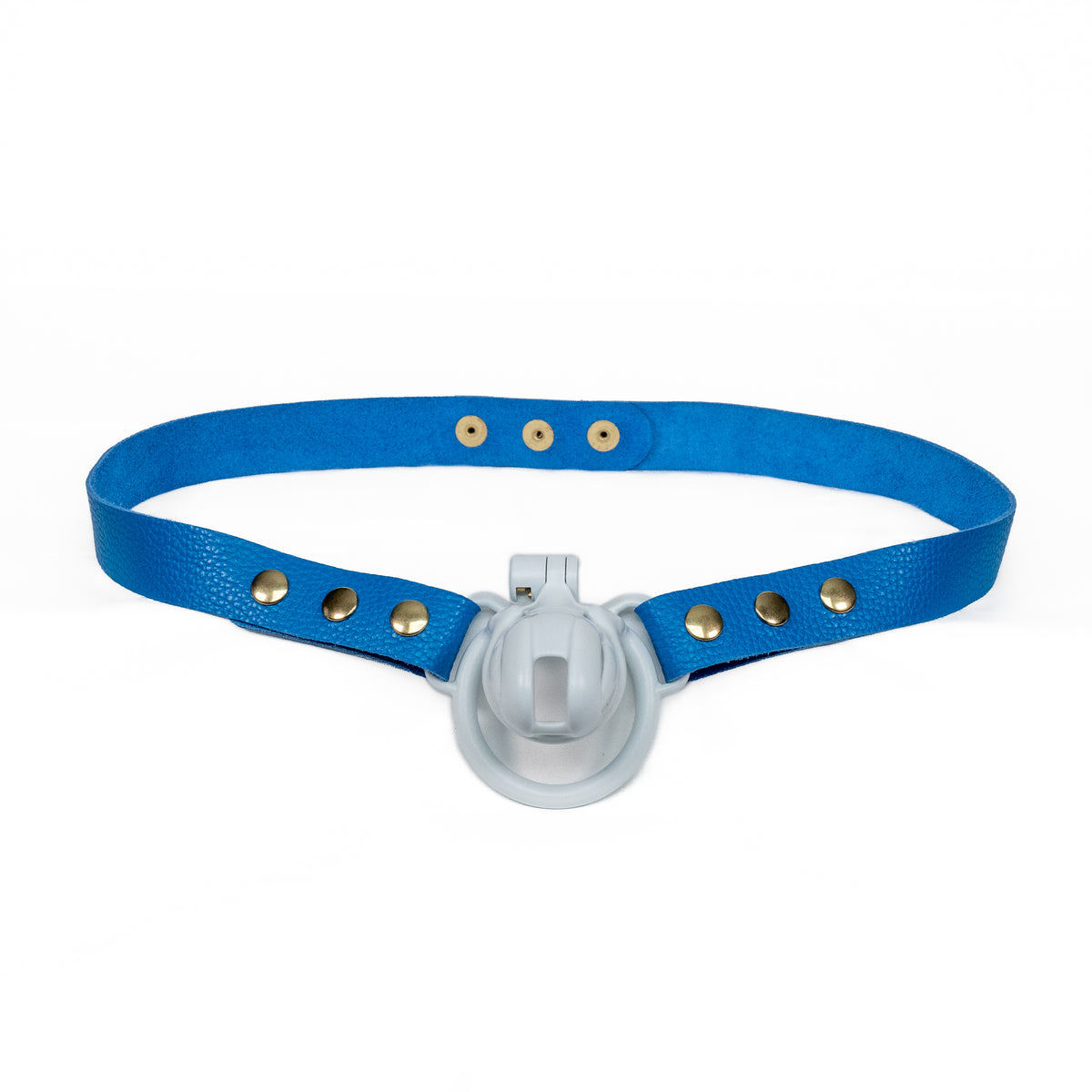 Chastity Strap 1"