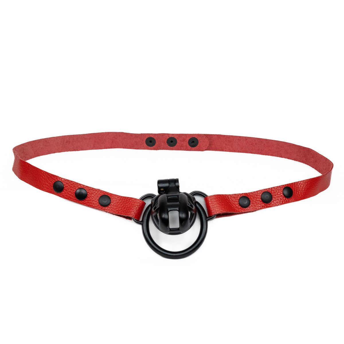 Chastity Strap 3/4"