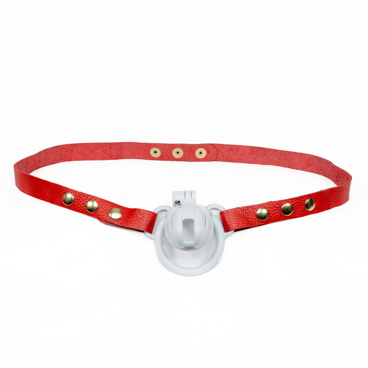 Chastity Strap 3/4"