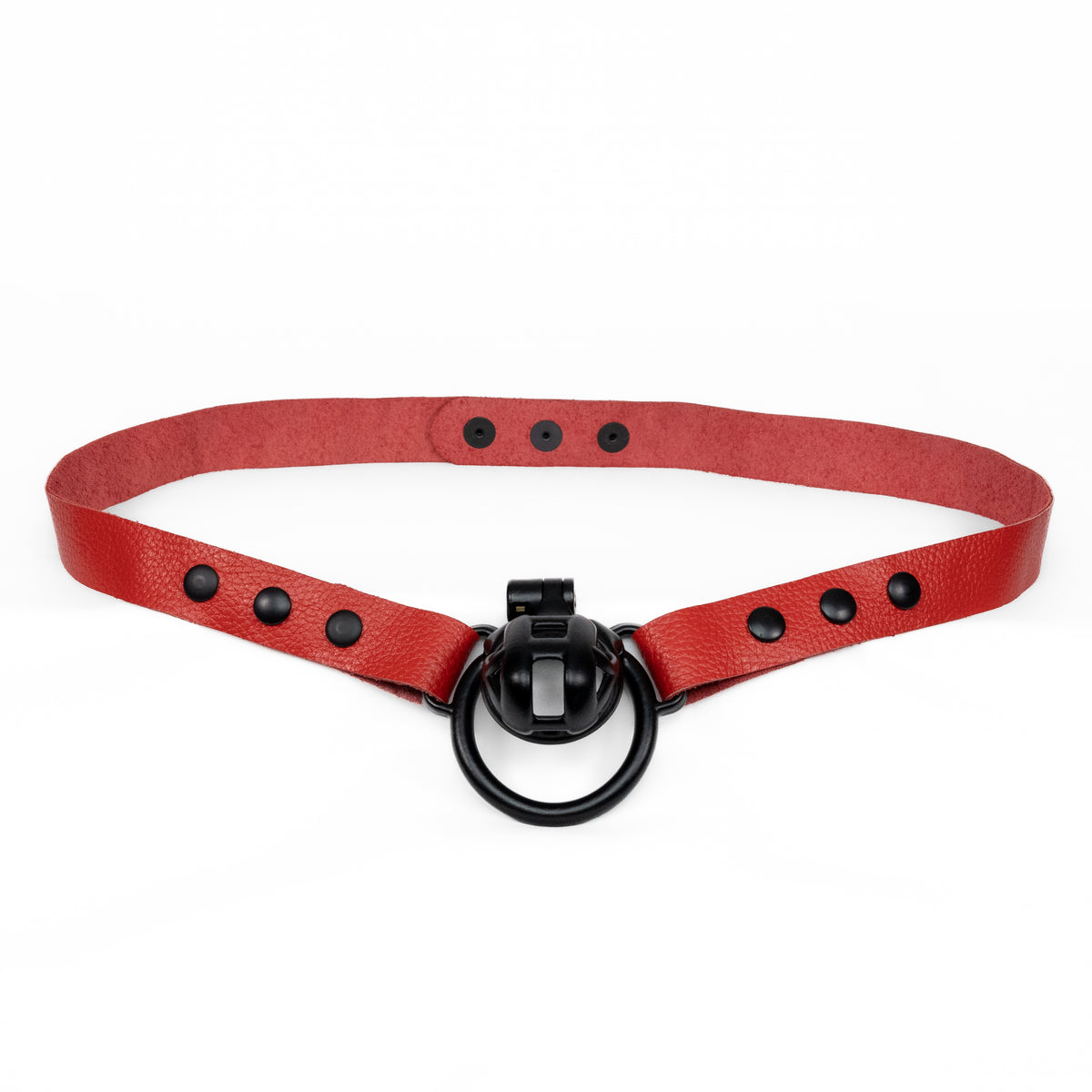 Chastity Strap 1"