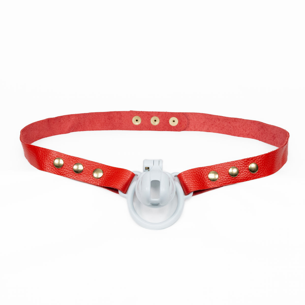 Chastity Strap 1"