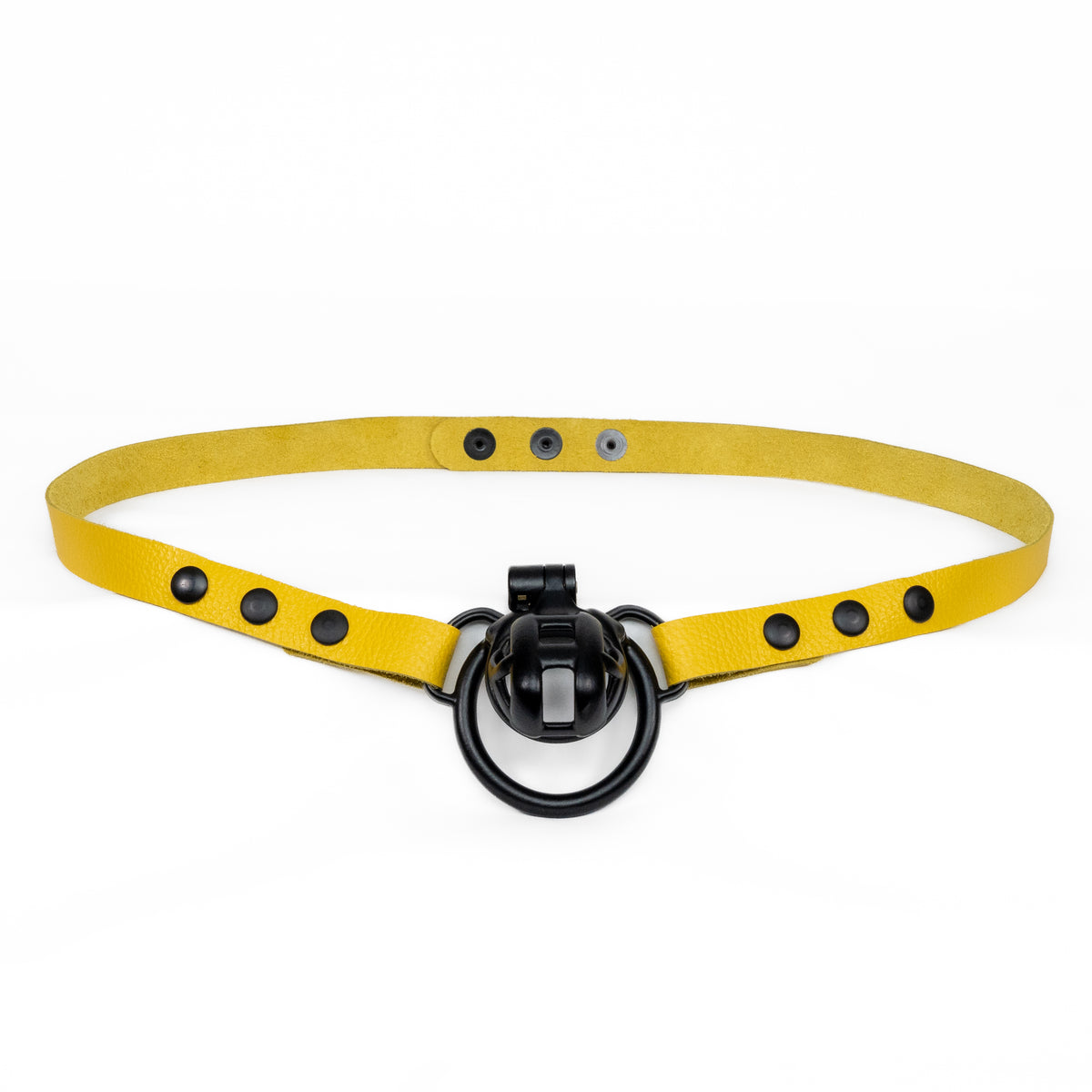 Chastity Strap 3/4"