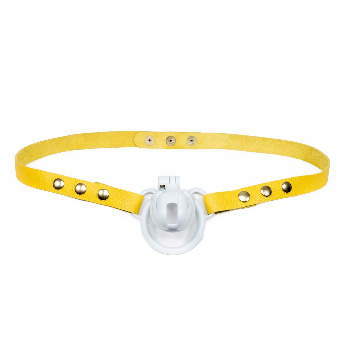 Chastity Strap 3/4"