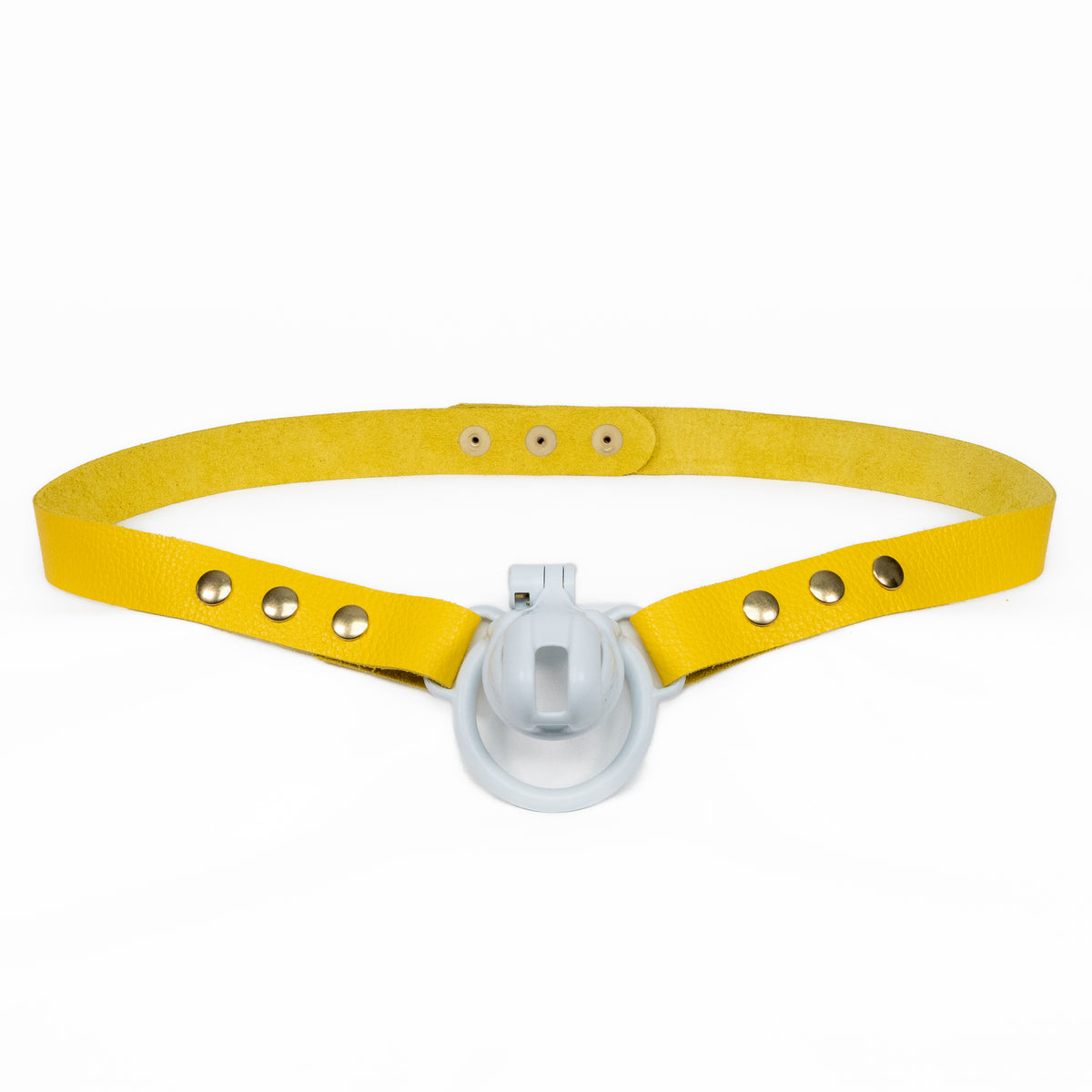 Chastity Strap 1"