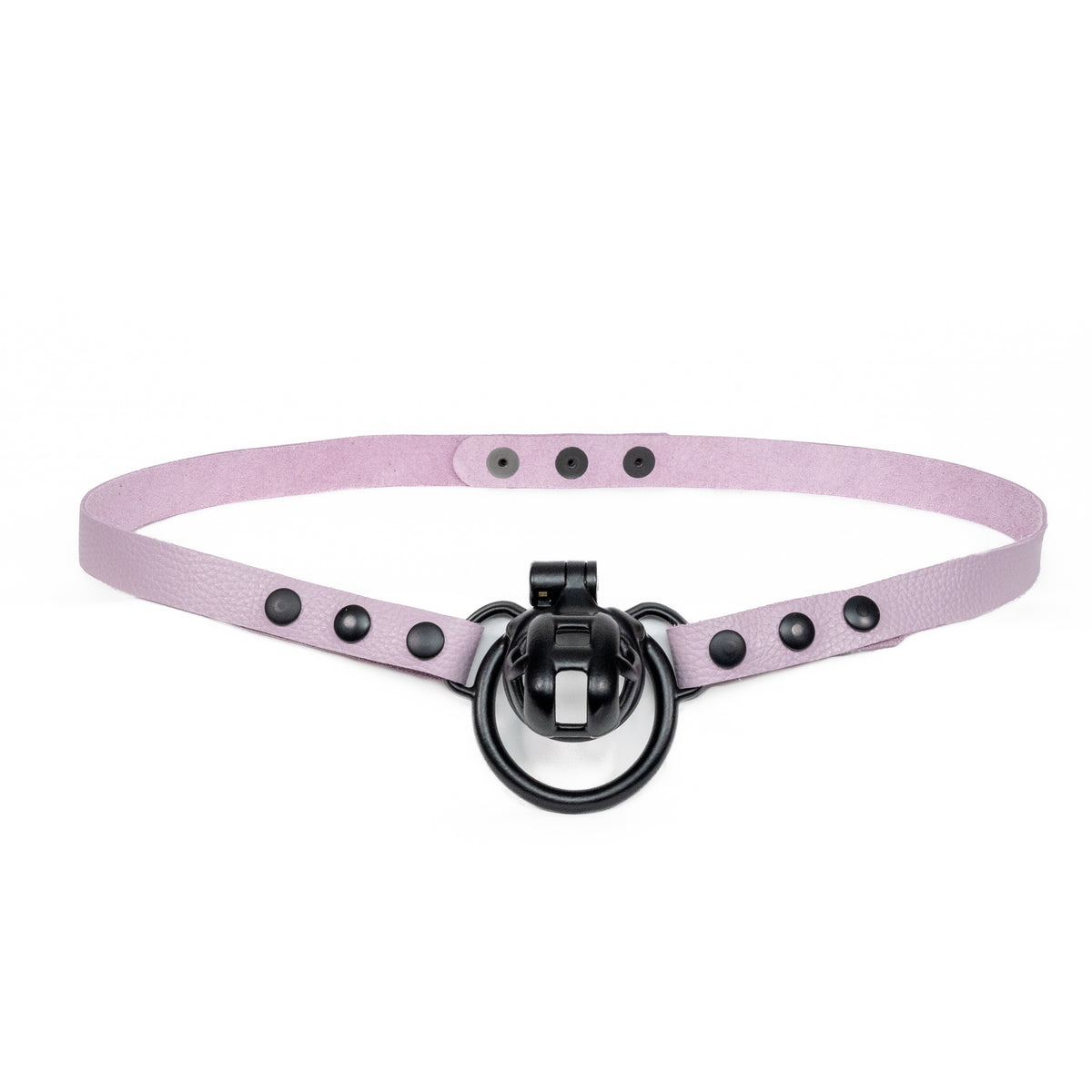 Chastity Strap 3/4"