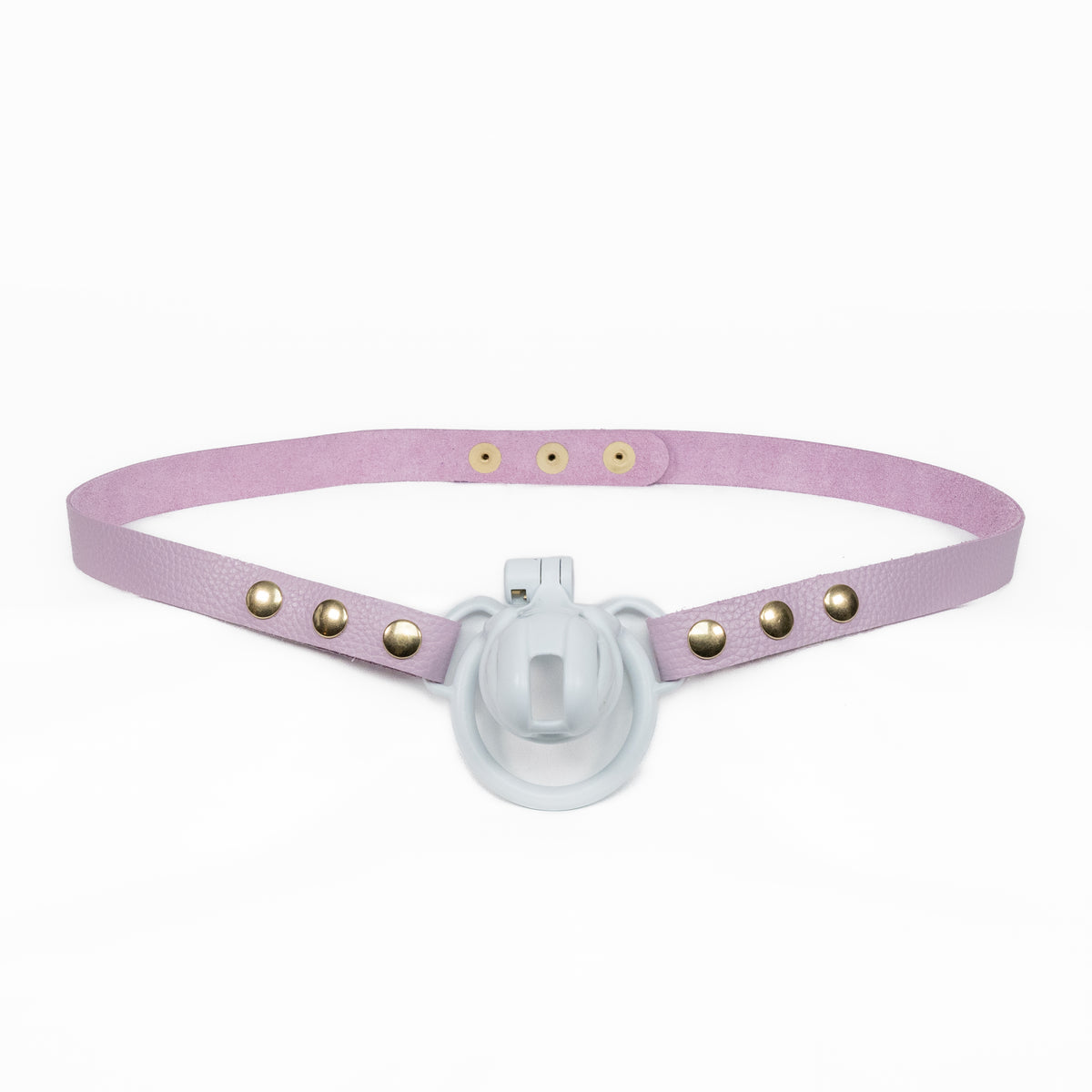 Chastity Strap 3/4"