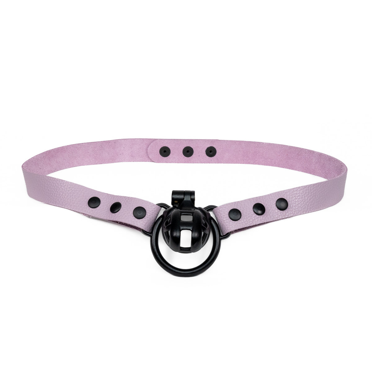 Chastity Strap 1"