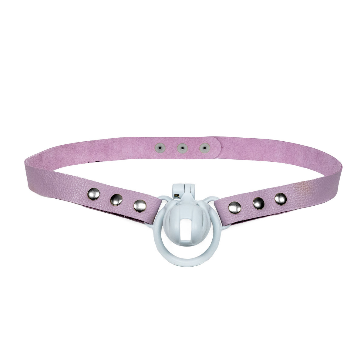 Chastity Strap 1"