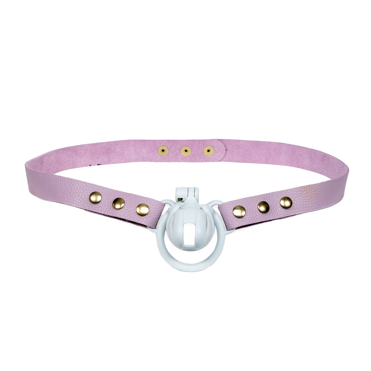 Chastity Strap 1"