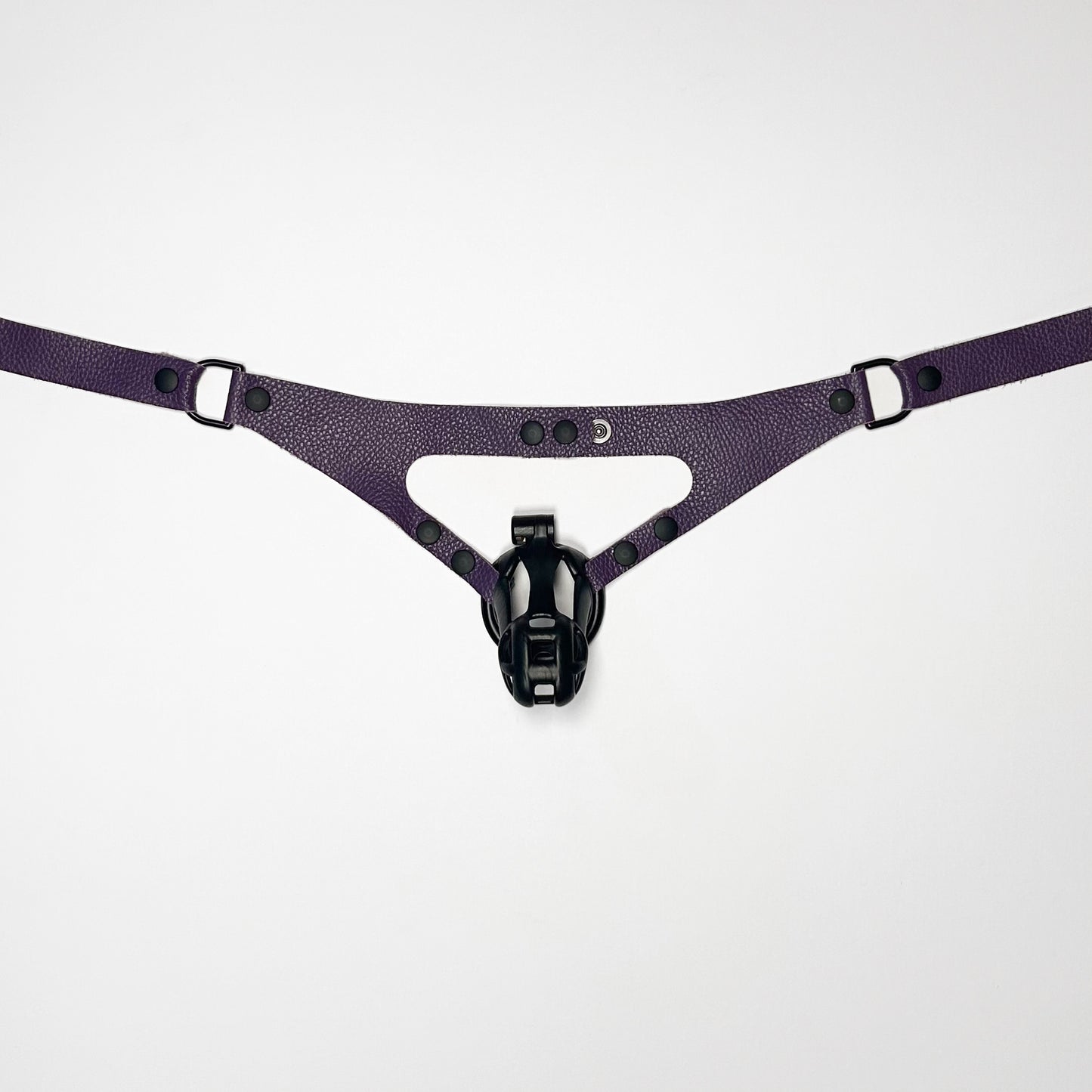 Purple Chastity Harness - Black