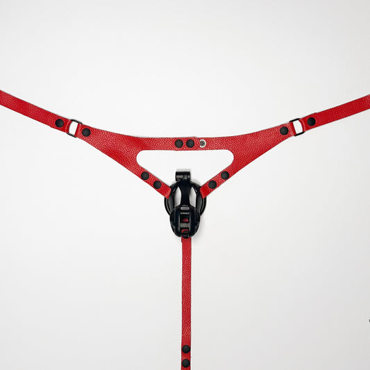 Red Thong Harness - Black