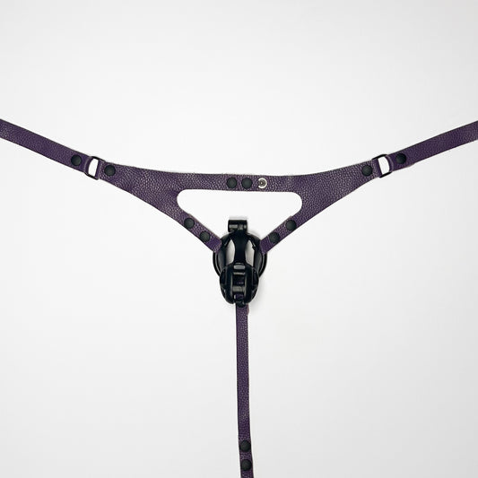 Purple Thong Harness - Black
