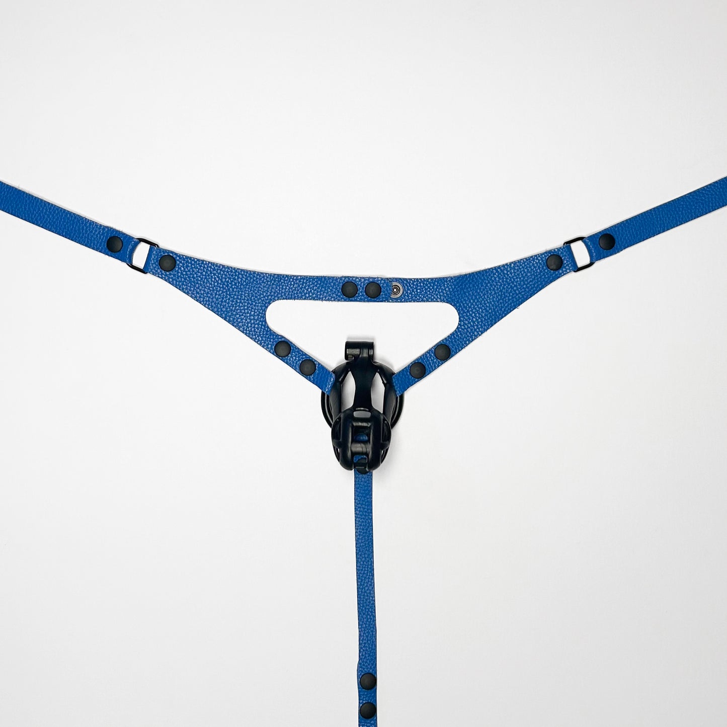 Blue Thong Harness - Black