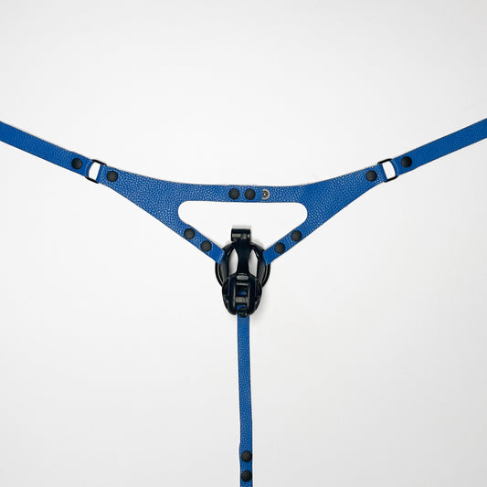 Blue Thong Harness - Black
