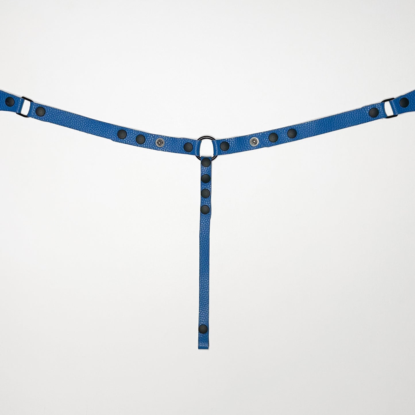 Blue Thong Harness - Black