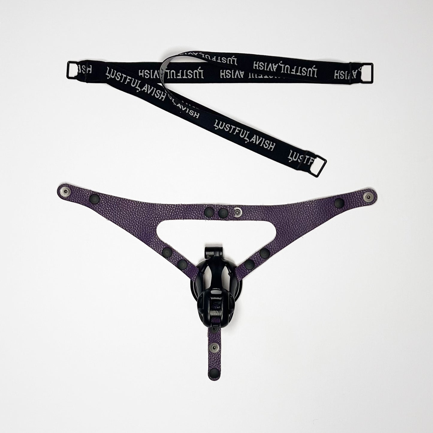 Purple Jock Harness - Black