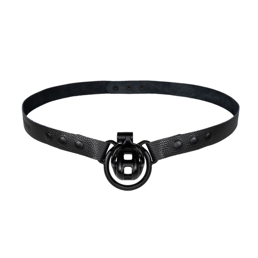Chastity Strap 1"