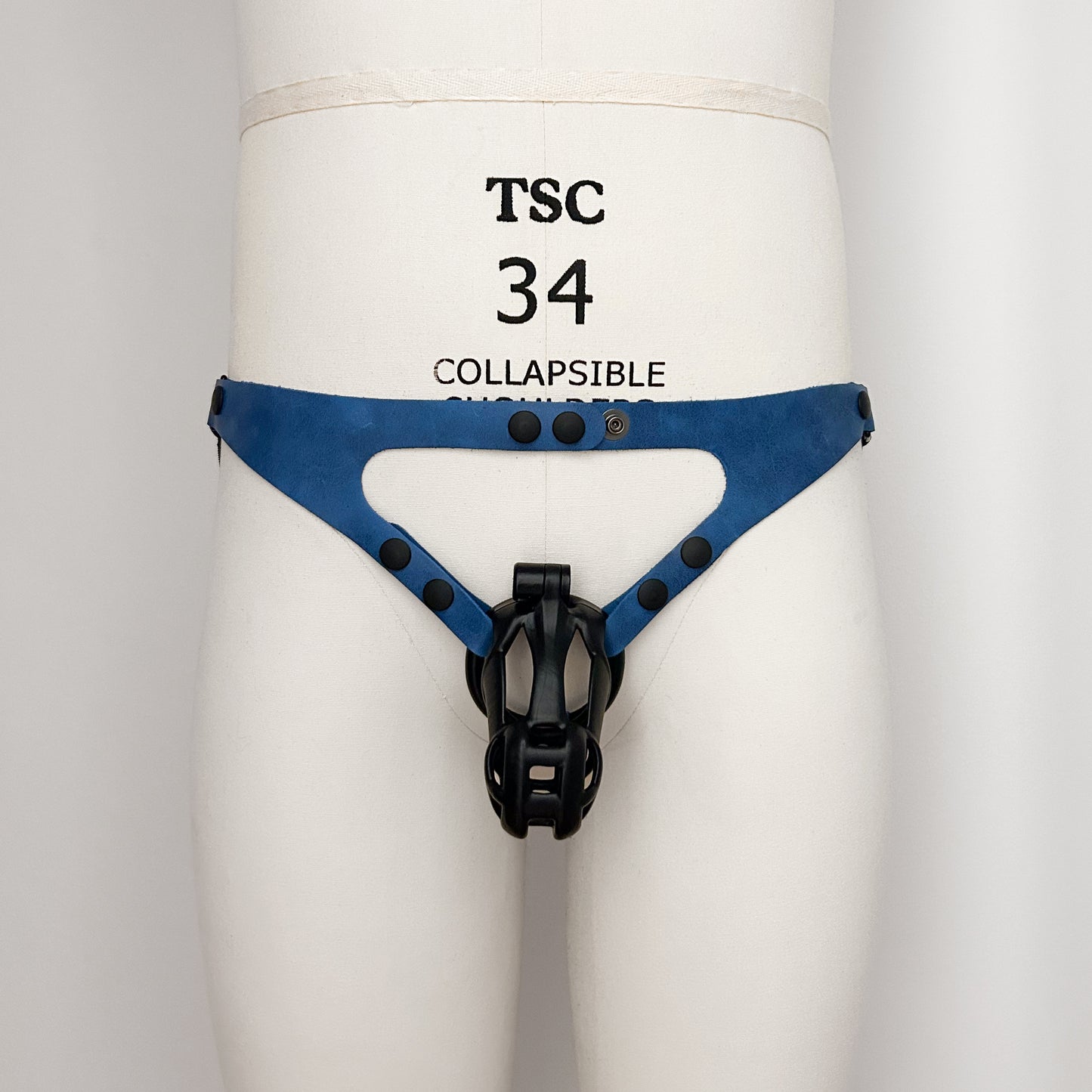 Electric Blue Jock Harness - Black